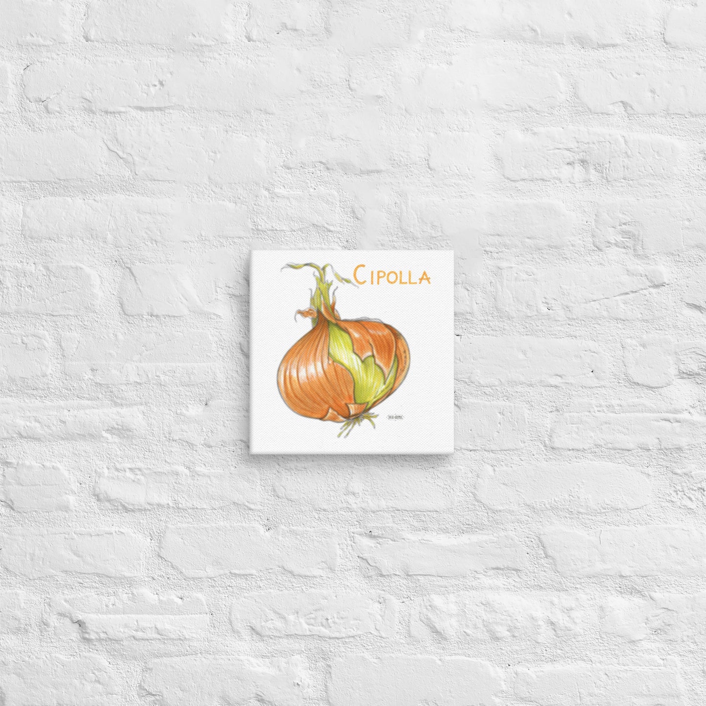 Onion Canvas | Tela Cipolla