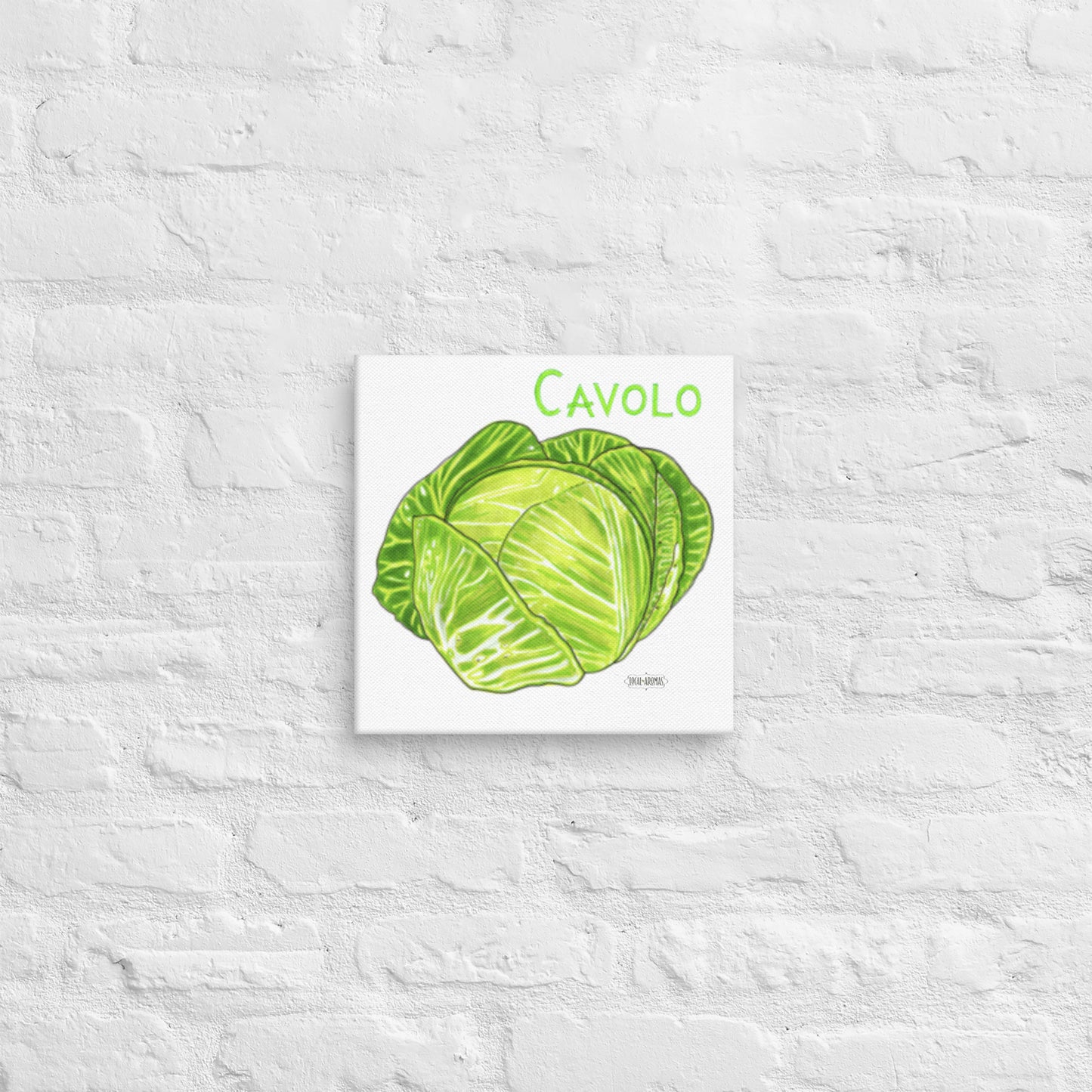 Cabbage Canvas | Tela Cavolo