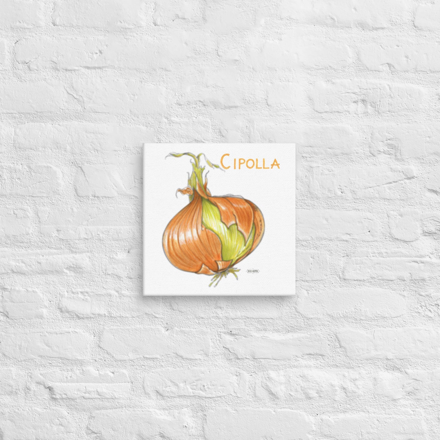 Onion Canvas | Tela Cipolla