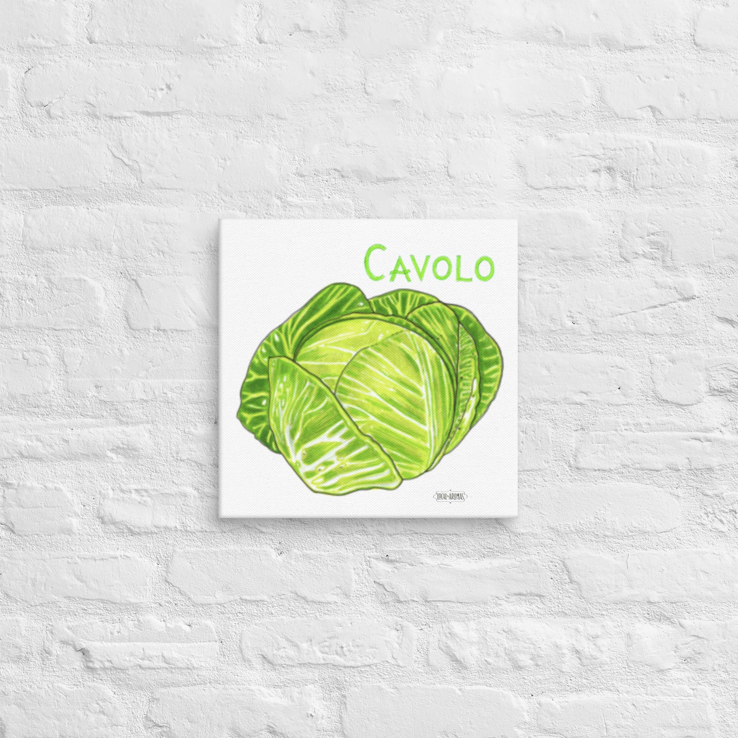 Cabbage Canvas | Tela Cavolo
