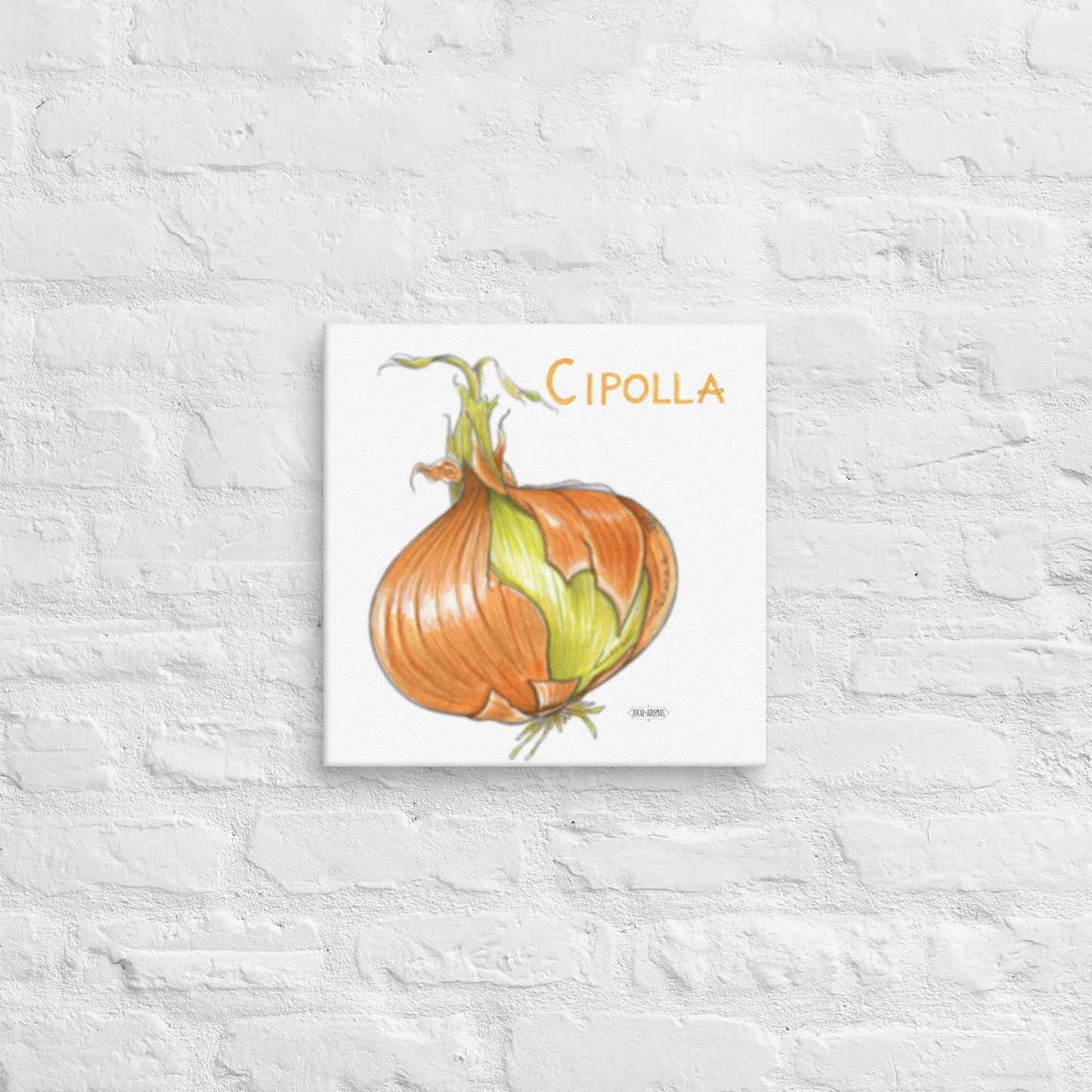 Onion Canvas | Tela Cipolla