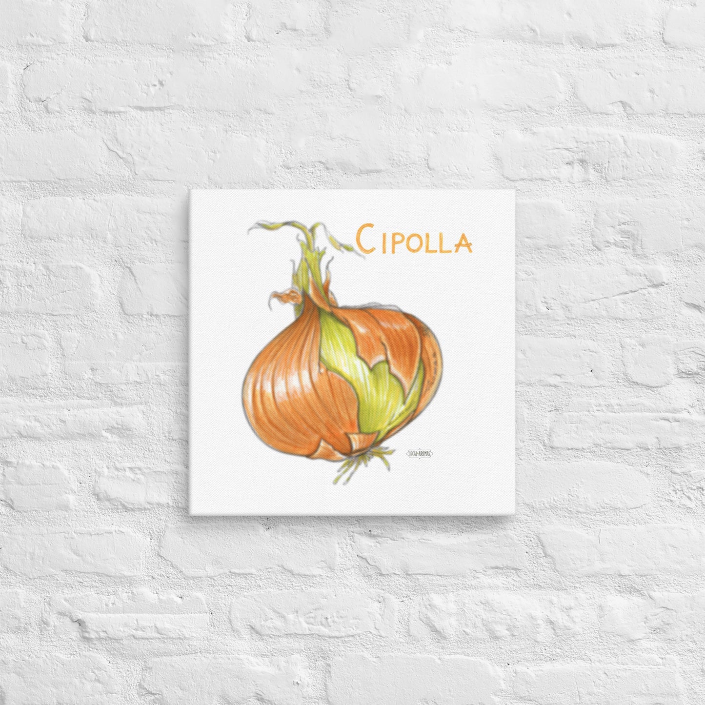 Onion Canvas | Tela Cipolla