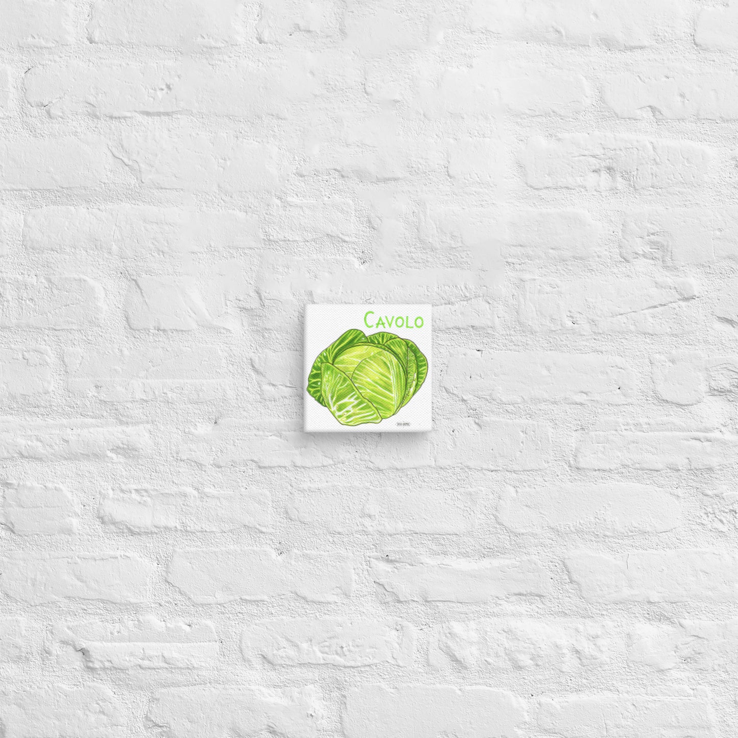 Cabbage Canvas | Tela Cavolo