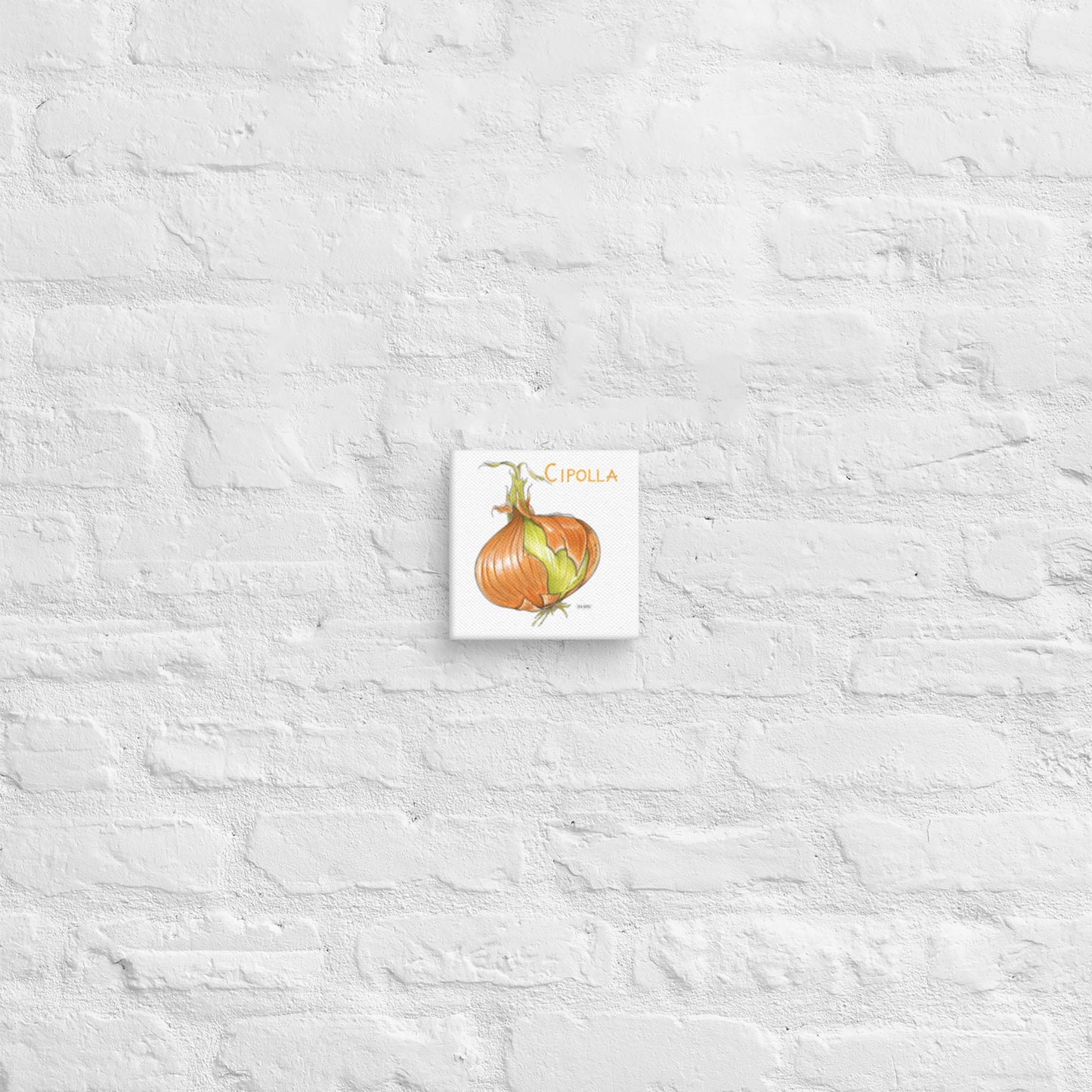 Onion Canvas | Tela Cipolla