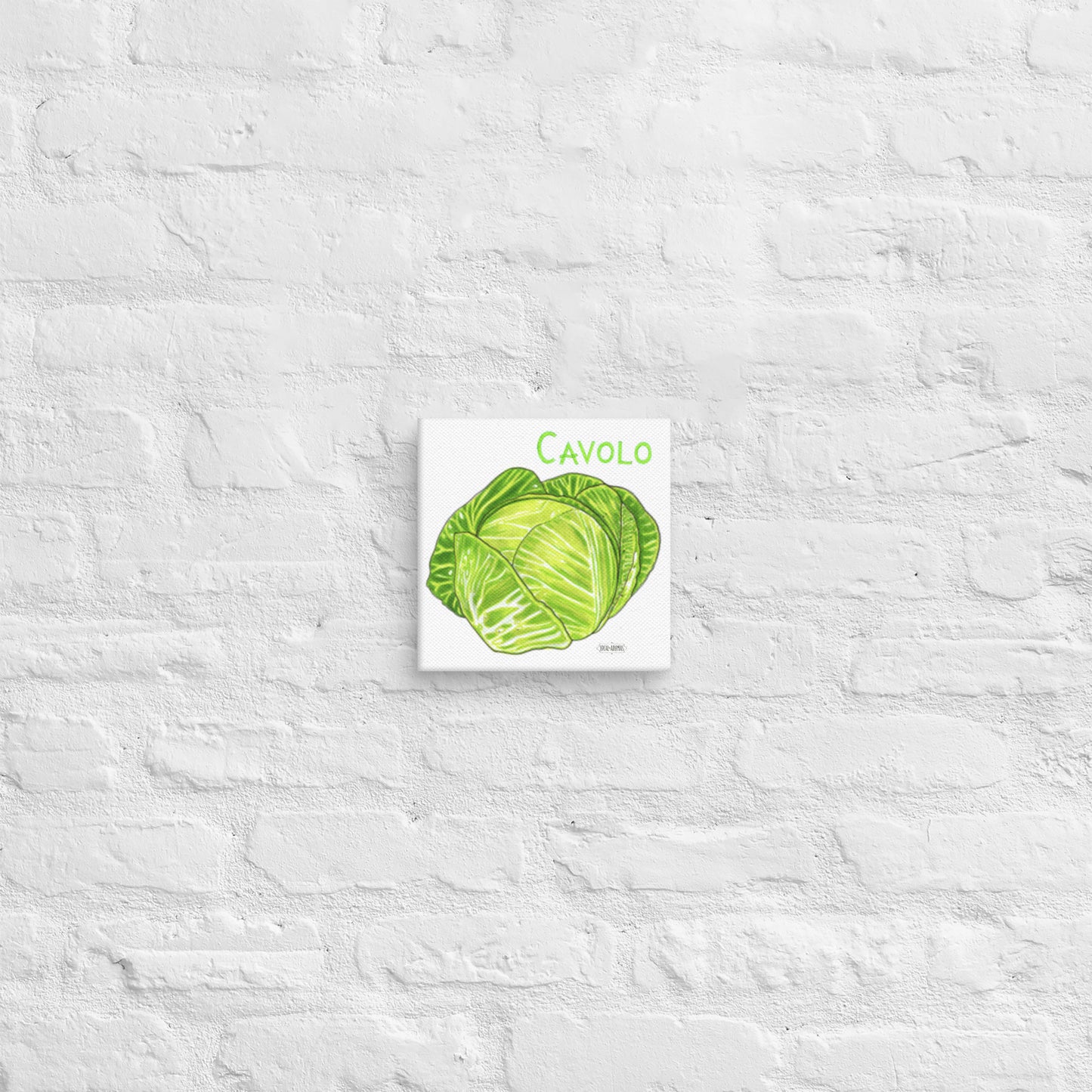 Cabbage Canvas | Tela Cavolo