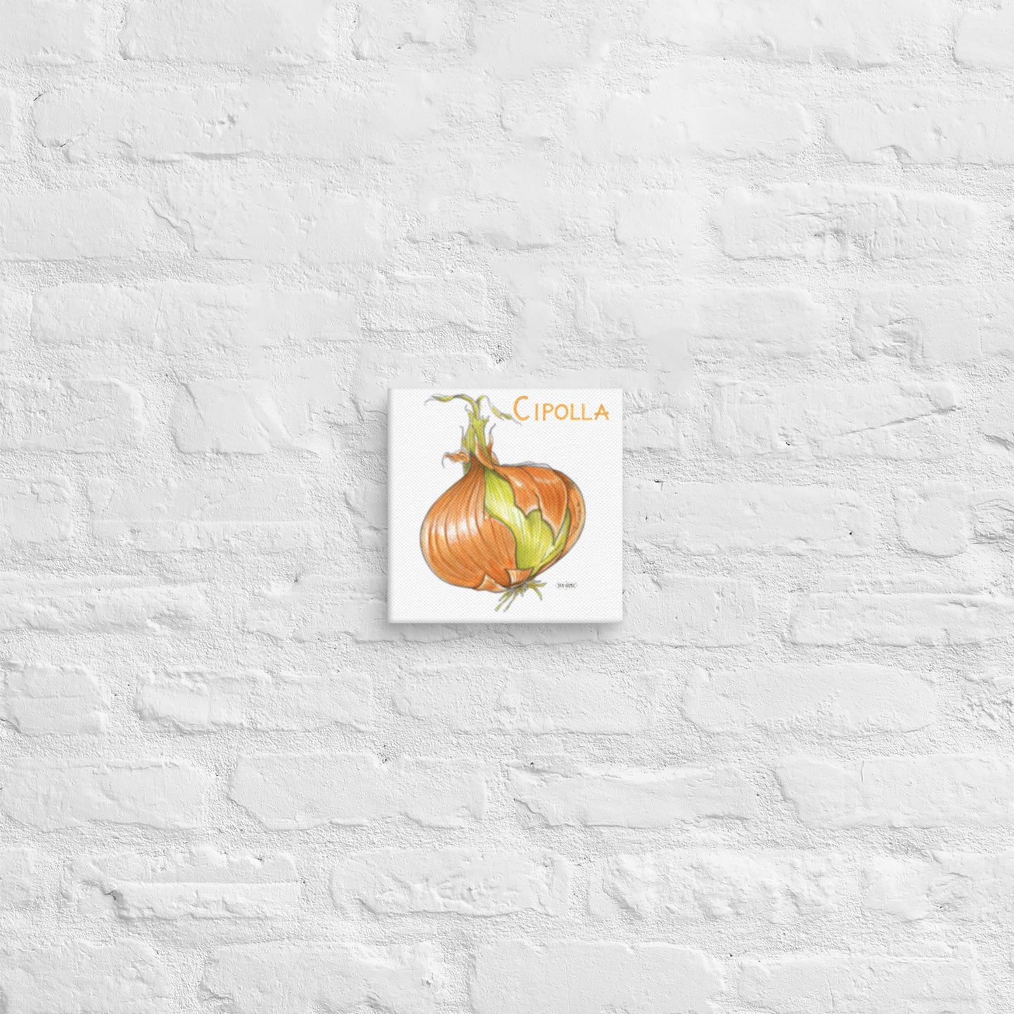 Onion Canvas | Tela Cipolla