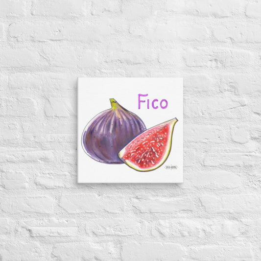 The Fico Canvas